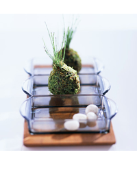 HANACLUBk�L�[�C���[�W
